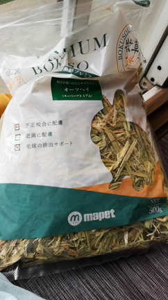 茶々1才7ヶ月の記事動画