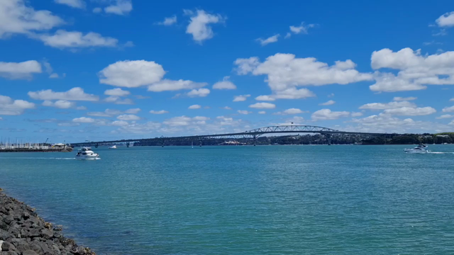 昨日と今日の散歩道の記事動画