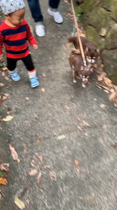 秋深しの記事動画