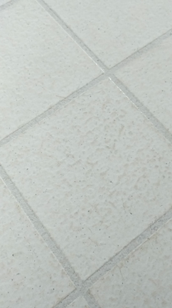 ☆2017年大掃除＝＝ドやさーーーの記事動画