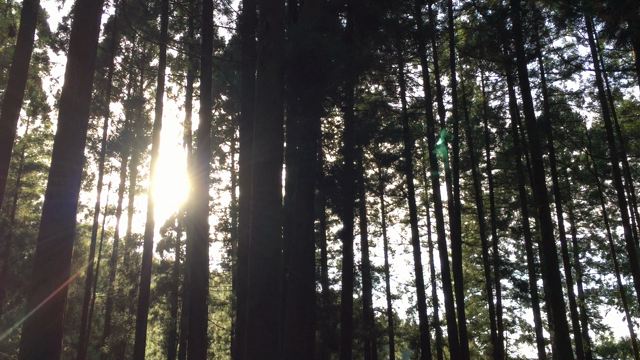 2020いちごくらぶ 豊富な抱負の記事動画