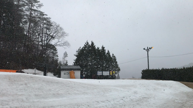 花金サイオトランド(о´∀`о)の記事動画