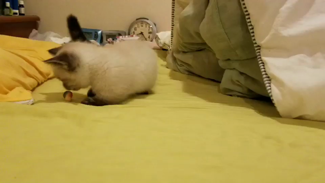 寝室に突入の記事動画