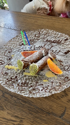 横浜らちゃまの記事動画