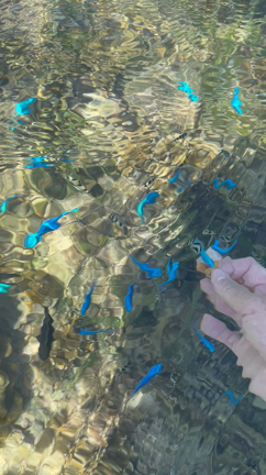 欲しいものを明確にするためにコントラストがあるの記事動画