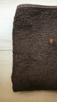 筆ってどう洗うんですか？の記事動画