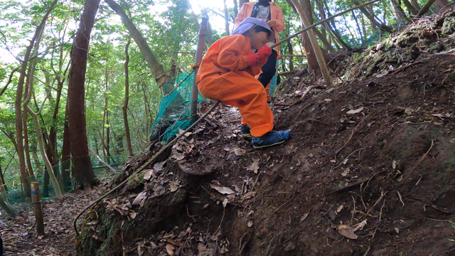 トレイルはワクワクがいっぱい^ ^の記事動画