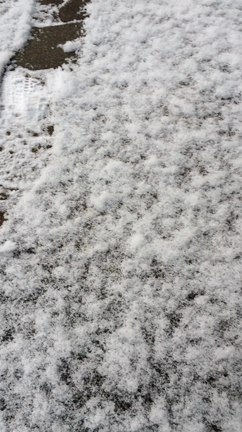 リアルタイム148の記事動画