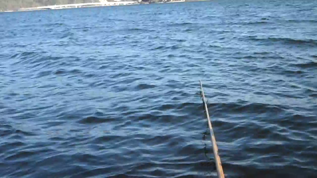 河口湖、へらぶな、波高しの記事動画