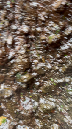 滝巡りの記事動画