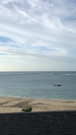 奄美大島・加計呂麻島ニュームーン・リトリート レポート　３の記事動画