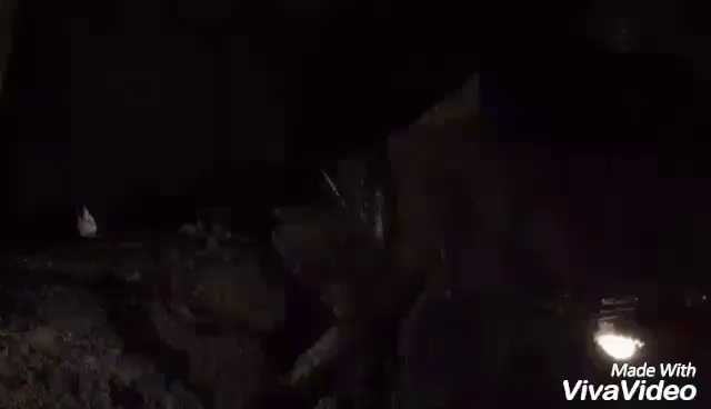 【富士五湖】動画 その③の記事動画