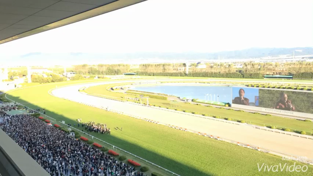 馬の上には多くの人の思いが☆の記事動画