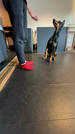 ウィーブの記事動画