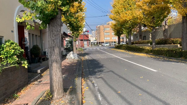 お腹いっぱい食べれるカフェ、宇都宮市コションドール！ベストメニューを発表するよ！の記事動画