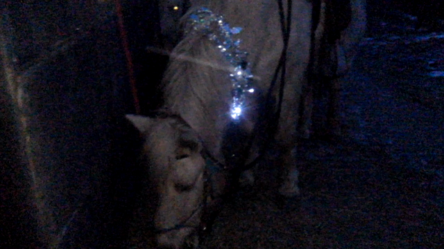 クリスマスおわったよ。の記事動画