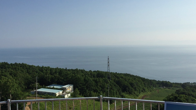 7月8日開花状況の記事動画