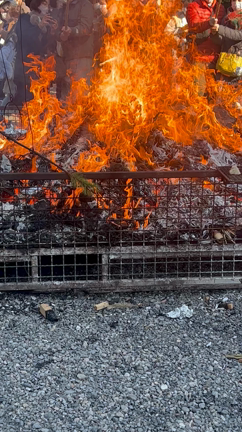小正月〜左義長・どんと焼きの記事動画