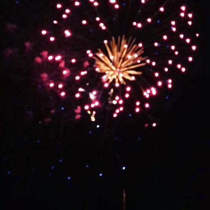 リアルな花火を観ることができました★*ﾟの記事動画
