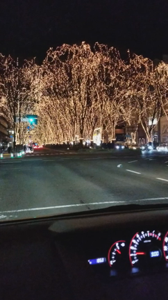 仙台光のページェント　楽しみかた(* ´ ▽ ` *)の記事動画