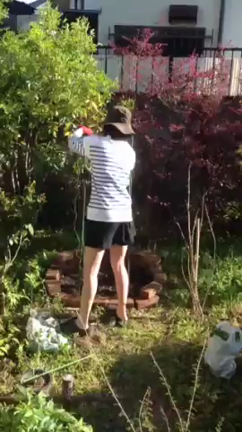 お家のお庭で。の記事動画