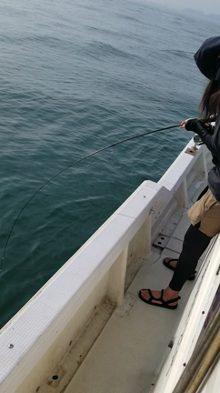 7月10日(日)　ひとつテンヤの記事動画