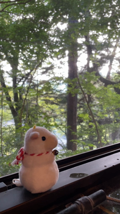 牛の夏休み11:おわりの記事動画