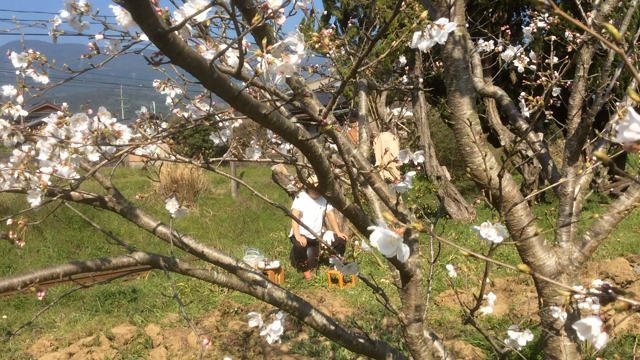 思いつくまま日記172の記事動画