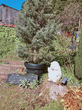 ❤️満席御礼　魔女レストラン開店しました❤️の記事動画