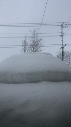 Happy new year 2022の記事動画