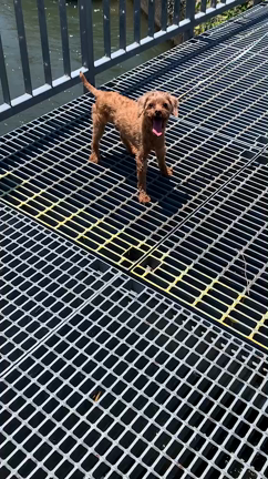 楽しい～☆の記事動画