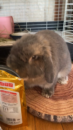 ポカポカの記事動画