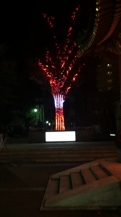 中華街のイルミネーションの記事動画