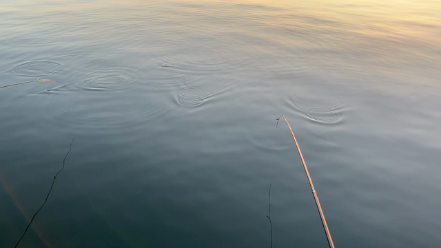 7月24日、茨城で海釣り！の記事動画