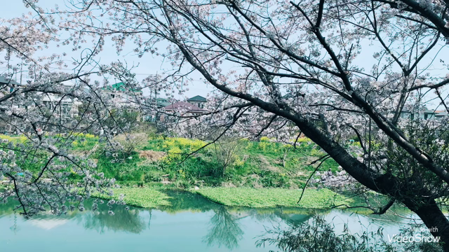 私達は全部自分のせいにしたがるけれど、実際はそうじゃないよ。の記事動画