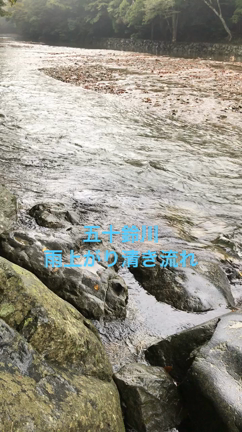 ローランの伊勢神宮だよりー２.五十鈴川でふっと思った事。の記事動画