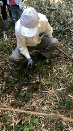 たけのこ採り達人の技の記事動画