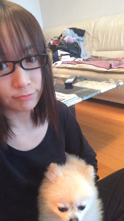 謹賀新年。の記事動画