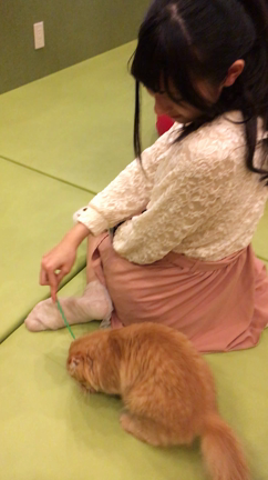 GIRLS INFINITY Tuesday  ✤こゆりんの記事動画