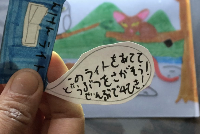 暗闇を照らすと何が見える？の記事動画