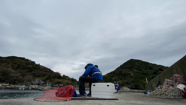 もう一本！の記事動画