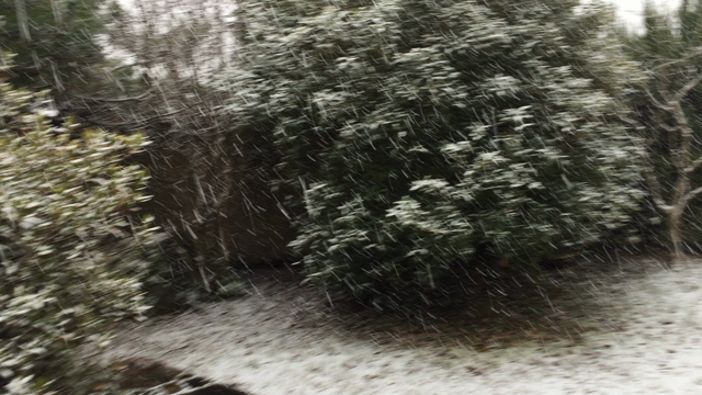 いよいよ、雪が降り始めたよ…の記事動画