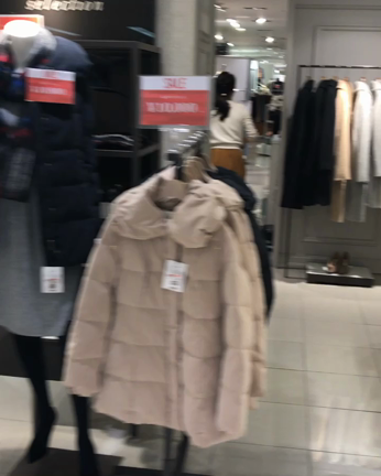 エフデ冬のセール★の記事動画