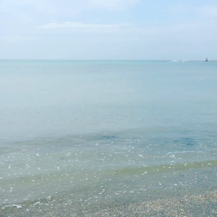 感情は水の流れのごとしの記事動画