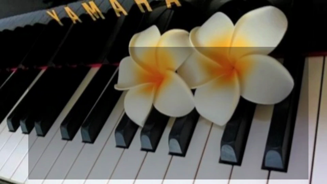 2025年度新学期スタートしてます～小山市 ピアノ教室N piano music schoolの記事動画