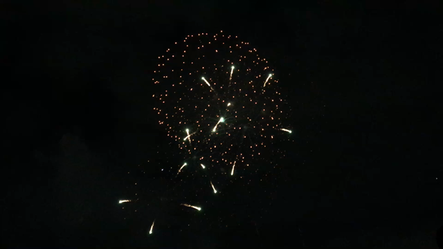 世田谷花火の記事動画