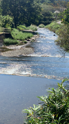 実はわけがあるんですがの記事動画