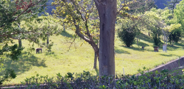 GW4日目の記事動画