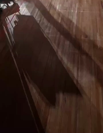 奄美公演★ちょっと見せの記事動画