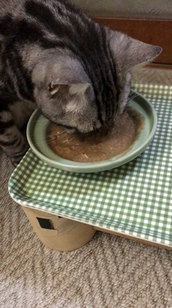 慢性腎不全だけど手作りご飯の記事動画